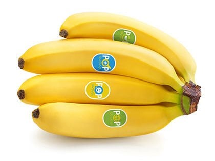 Gıda ile Doğrudan Temas Etiketleri